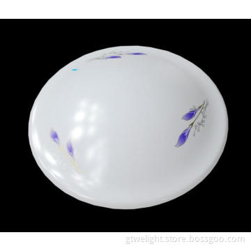 Newest LED Ceiling Dome Light as Corridor Lamp Hotsale